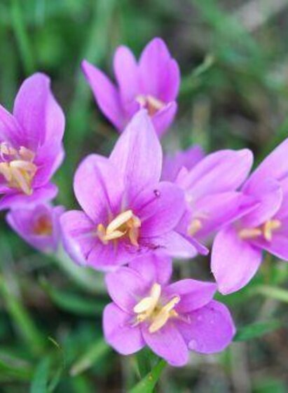 Sujefoto | Werner Krug | © Thermen- & Vulkanland