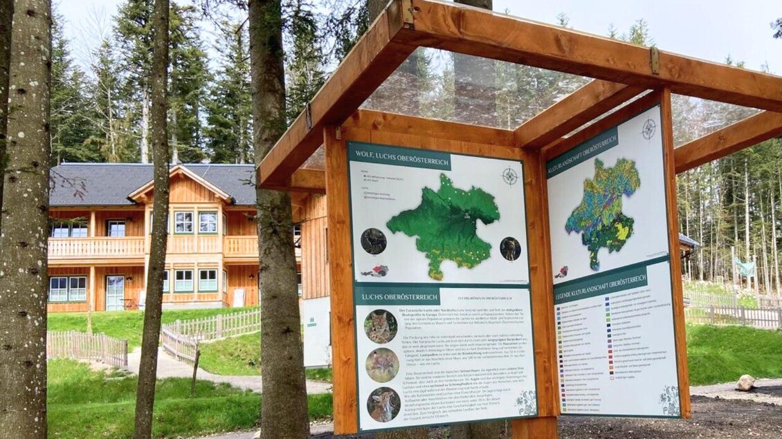 Ein Informationsstand im Wald mit Landkarten und Erläuterungen. Im Hintergrund ist ein Holzgebäude zu sehen, umgeben von Bäumen. | © www.zloam.at