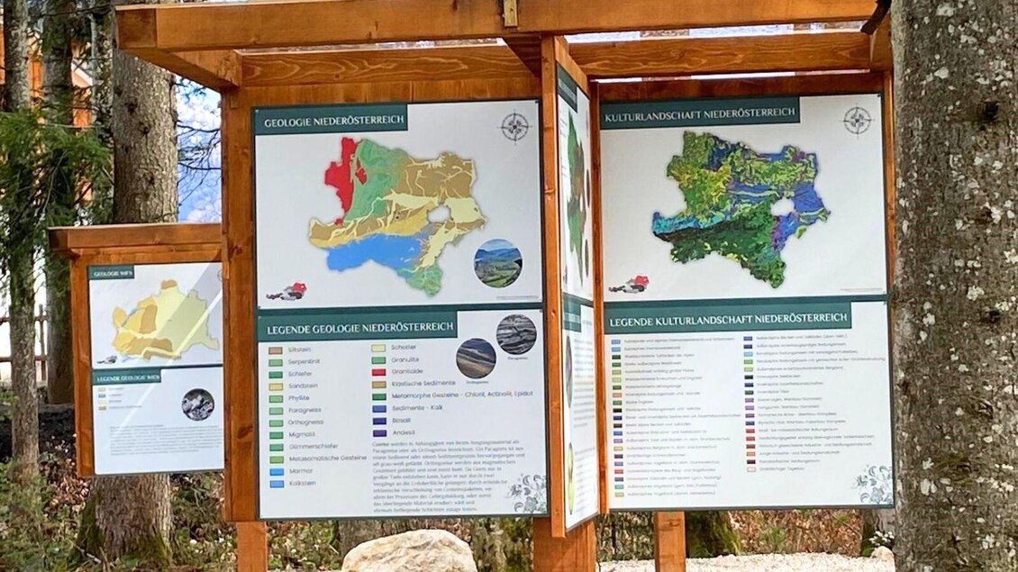 Eine Informationsstelle mit mehreren Karten und Legenden über die geologische und botanische Vielfalt in Niederösterreich. Die Karten sind an einem Holzgestell angebracht und umgeben von Bäumen.