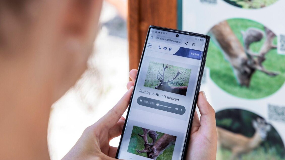 Rätselrallye am Österreich-Trail Zloam | © www.zloam.at