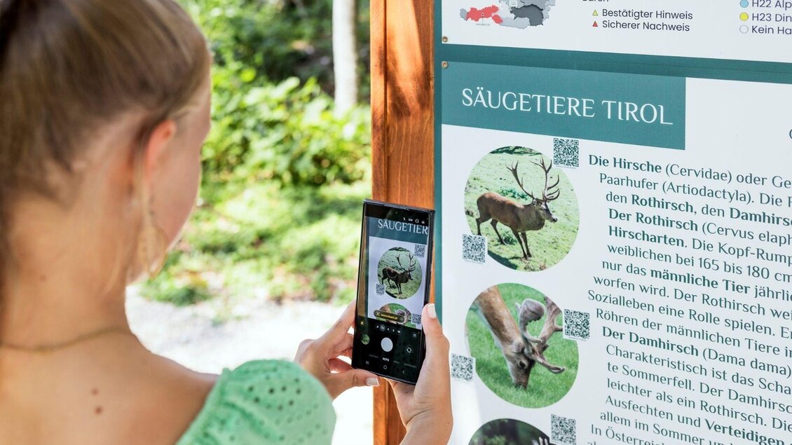 Rätselrallye am Österreich-Trail Zloam | © www.zloam.at