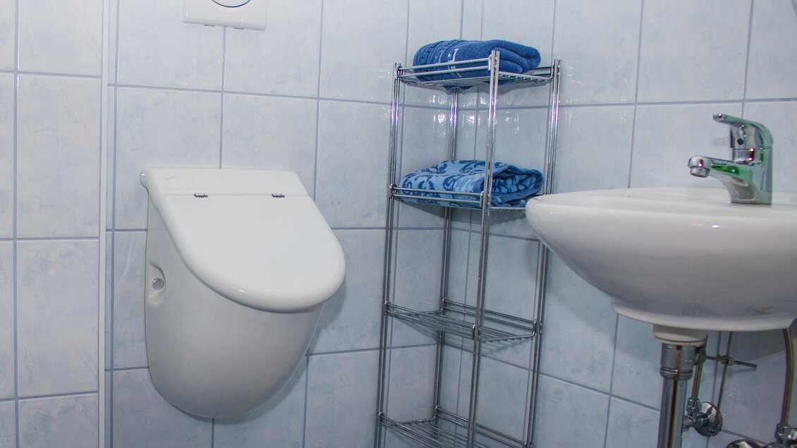 Ein modernes Badezimmer mit einer hängenden Toilette und einem Waschbecken. Auf einem Regal sind blaue Handtücher sichtbar. | © Gerhard Schernthaner