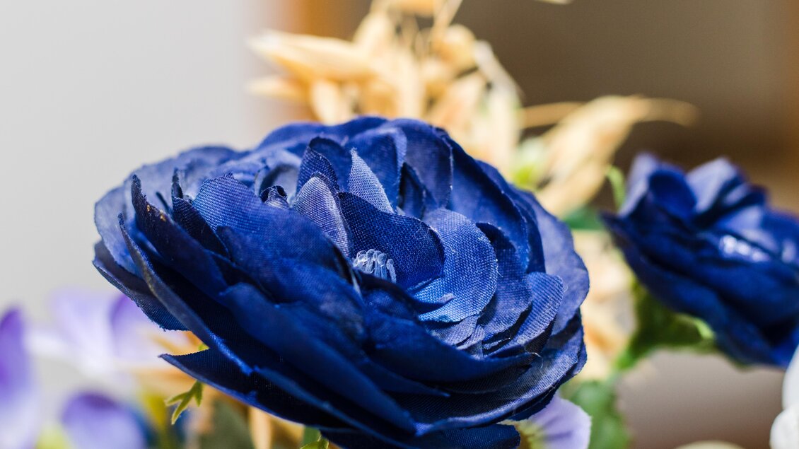 Eine schöne dunkelblaue Blume in einem Arrangement mit anderen floralen Elementen. Die Blumen sind sorgfältig angeordnet und strahlen Frische und Eleganz aus. | © Gerhard Schernthaner