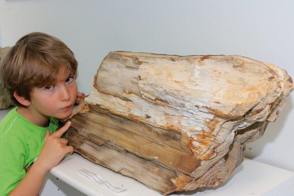 1st Austrian Volcano Museum - Impression #1 | © 1. Österreichisches Vulkanmuseum