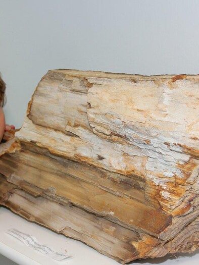 11-Österreichisches Vulkanmuseum_Foto-c-Johann-Sch | © 1. Österreichisches Vulkanmuseum