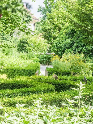 Herbal Garden Weizberg_Overview_Eastern Styria | © Alexandra Wagner
