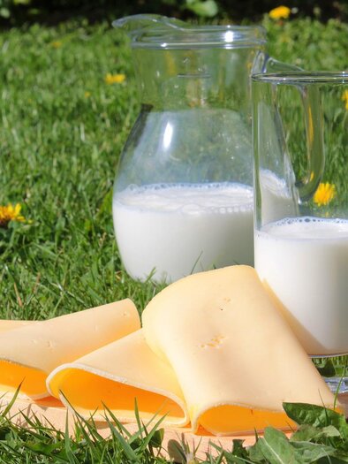 The Käsemax_Products of Milk_Eastern styria | © Pixabay