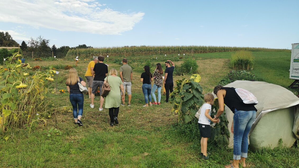 Landwirtschaft am Kleinkeuschlerhof | © Anita Schwarz