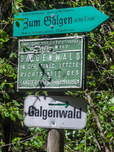 Galgenwald_Wegweiser_Oststeiermark | © Alexandra Wagner