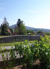 Hofbauer Landscape Park_Shrubs_Eastern Styria | © Landschaftspark Hofbauer | © Landschaftspark Hofbauer