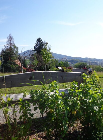 Hofbauer Landscape Park_Shrubs_Eastern Styria | © Landschaftspark Hofbauer