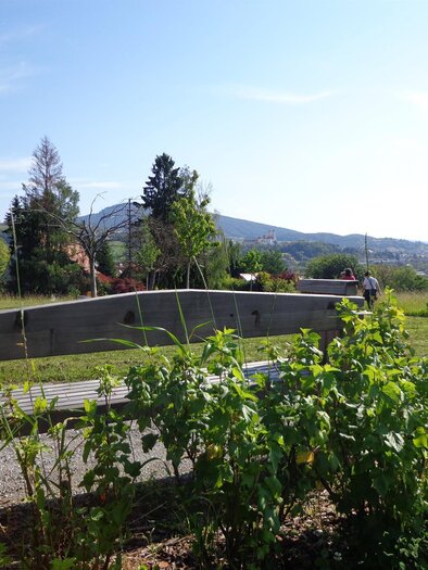 Landschaftspark Hofbauer_Sträucher_Oststeiermark | © Landschaftspark Hofbauer