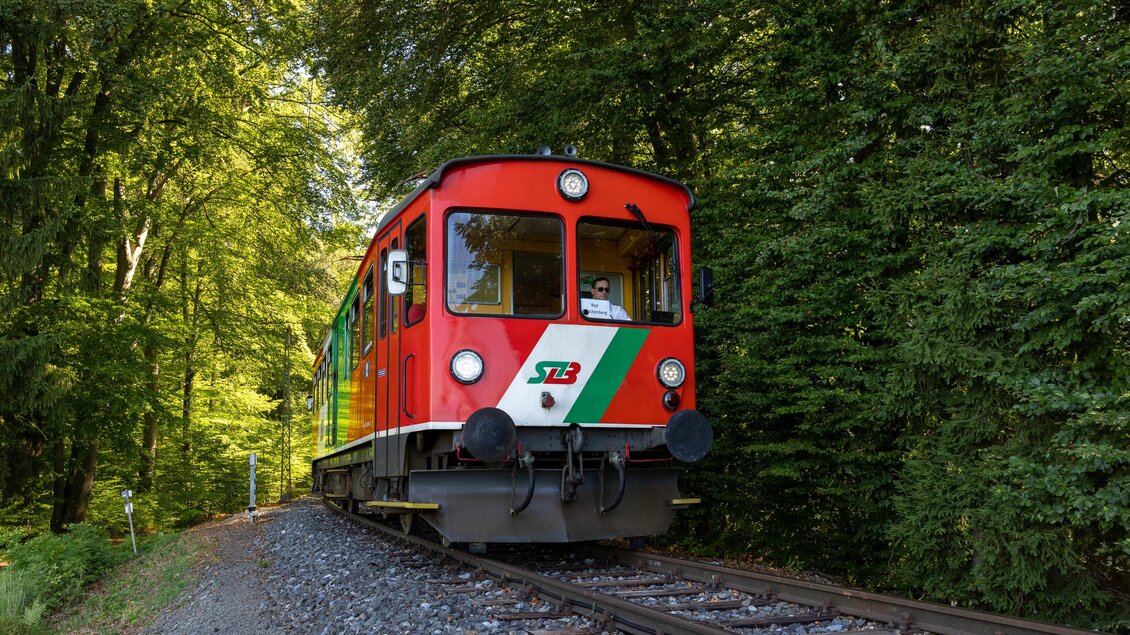 Gleichenberger Bahn im Wald | © StB - Harry Schiffer