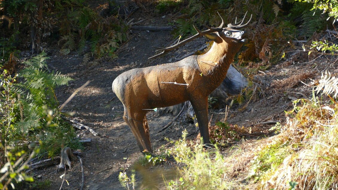 3D Styrian Archers Parcours | © TV Region Graz - Meike Brucher