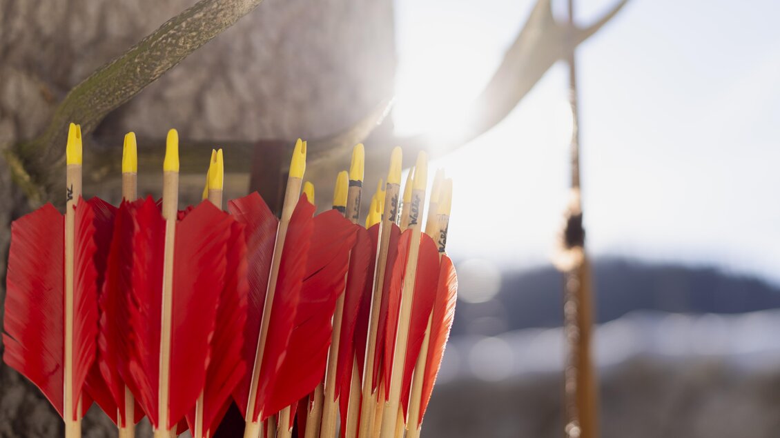 Eine Sammlung von Pfeilen mit roten Federn, die an einem Baum lehnen. Im Hintergrund scheint die Sonne, und die Landschaft ist verschwommen. | © Narzissendorf Zloam, www.zloam.at