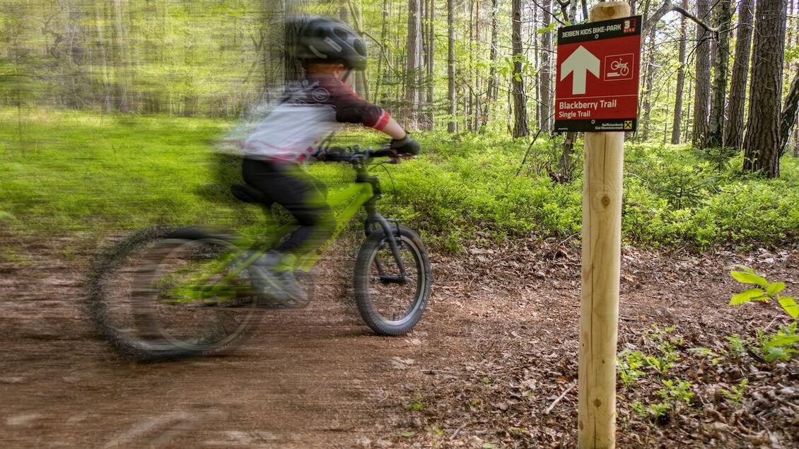 Ein Kind fährt mit dem Fahrrad auf einem Waldweg. Ein Schild zeigt den Weg zum "Blackberry Trail" an. | © 3Eiben Kids Bike Park