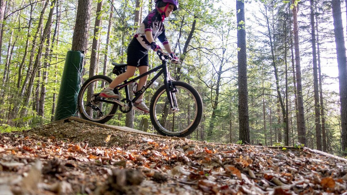 Ein Radfahrer fährt auf einem Baumstamm im Wald. Die Umgebung ist voller Bäume und Laub. | © 3Eiben Kids Bike Park