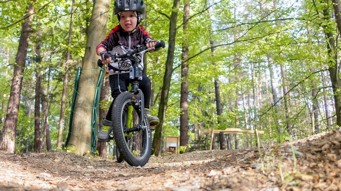 Ein Junge fährt mit einem Fahrrad auf einem Pfad im Wald. Um ihn herum sind viele grüne Bäume und frisches Laub. | © 3Eiben Kids Bike Park