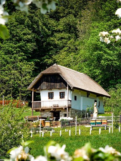Sandstöckl im Frühling | © Christian Karner