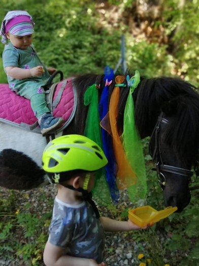 ABC-Hufis-Reiten1-Murtal-Steiermark | © ABC-Hufis | ABC-Hufis | © ABC-Hufis