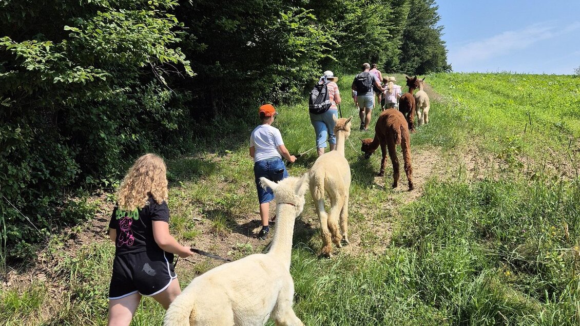ALPAKAreich Zöhrer - Impressionen #2.1