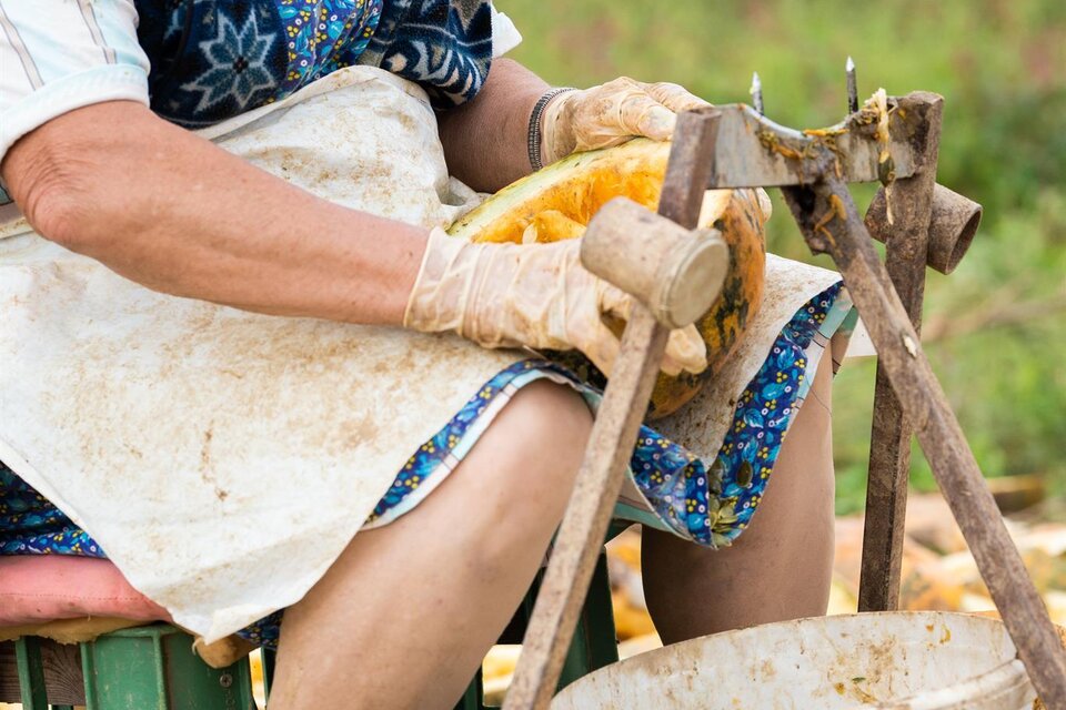 Ab-Hof-Verkauf Fam. Alois Fuchs - Impression #1 | © Mias Photoart