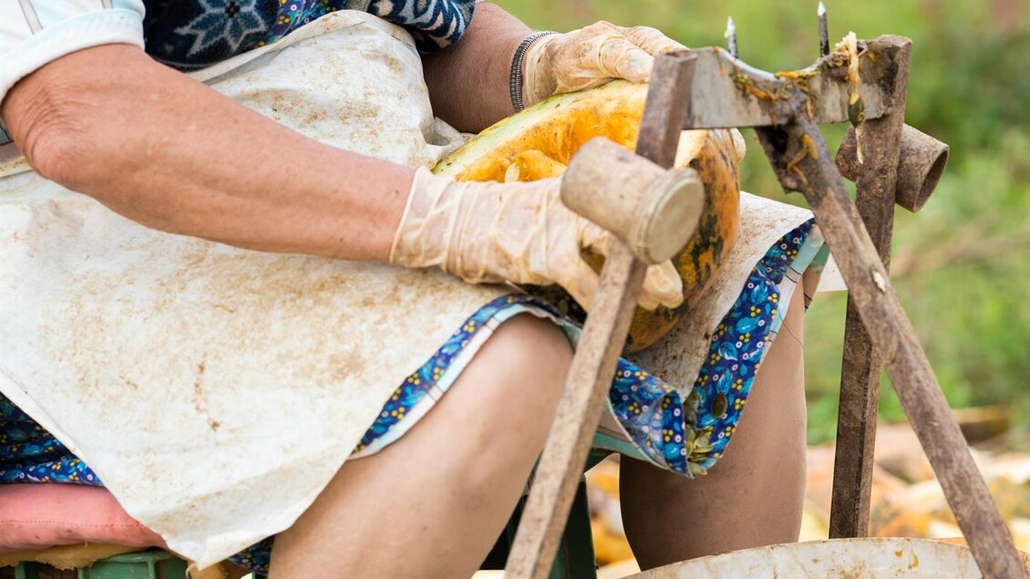 Eine ältere Frau schält Kürbisse auf einem Stuhl im Freien. Um sie herum liegen bereits einige bearbeitete Kürbisse und ein Eimer. | © Mias Photoart