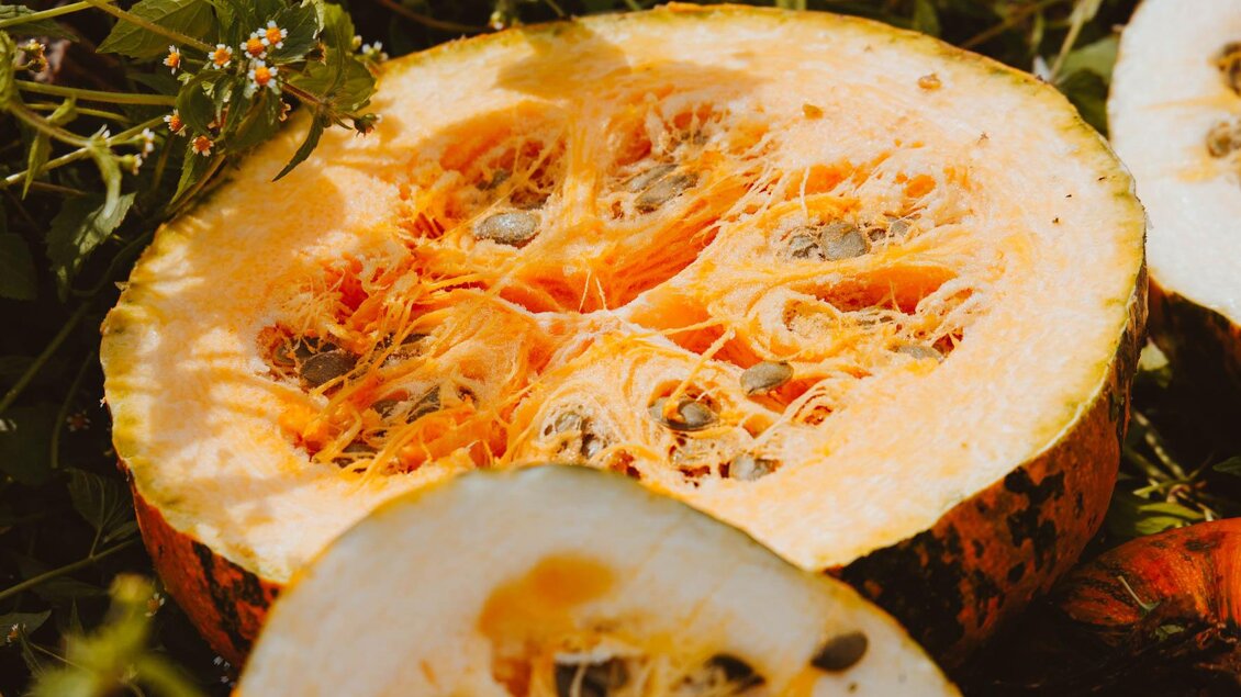 Eine aufgeschnittene Kürbishälfte mit orangefarbenem Fruchtfleisch und Samen. Drumherum sind grüne Pflanzen und weitere Kürbisstücke zu sehen. | © Bergmann