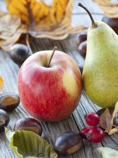 Apfel und Birne | © Helmut Schweighofer