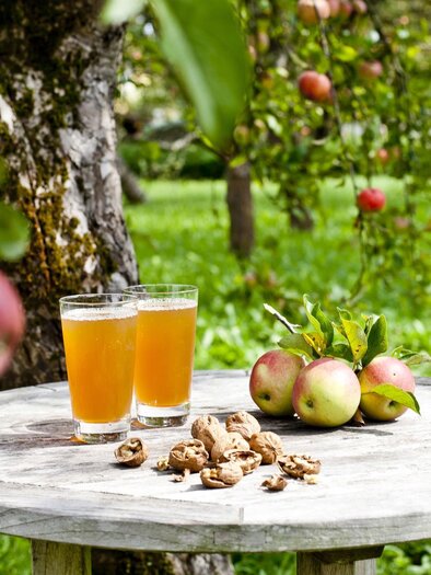 Ab-Hof-Verkauf_Apfel_Oststeiermark | © Steiermark Tourismus