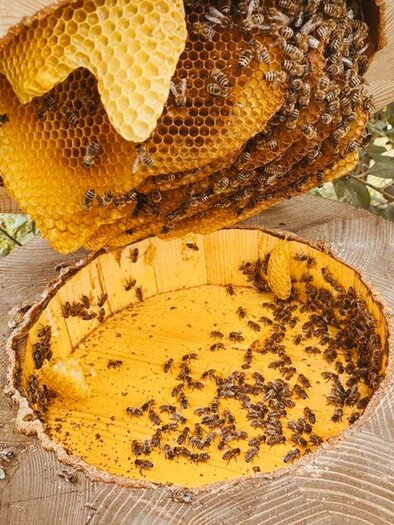 Beekeeping Janisch_ Beehive_Eastern Styria | © Imkerei Janisch