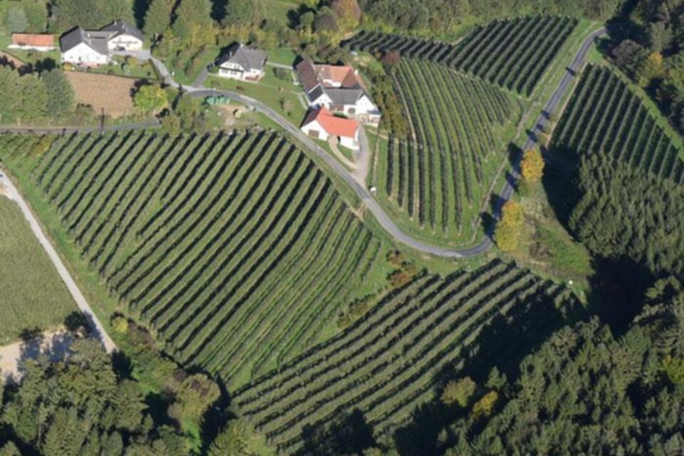 Farm-gate-sale fruitfarm Alber - Impression #1 | © Martin Alber