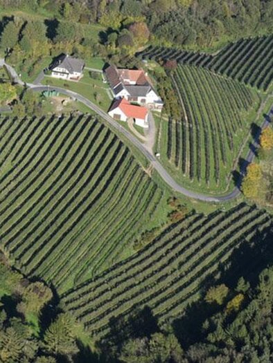 Luftbildaufnahme Obsthof Alber | © Martin Alber