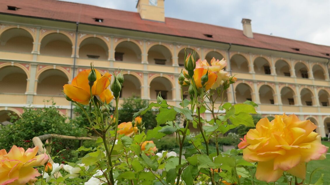 Ein schöner Garten mit gelben Rosen im Vordergrund. Im Hintergrund ist ein historisches Gebäude mit einem Uhrenturm zu sehen. | © Abtei Seckau