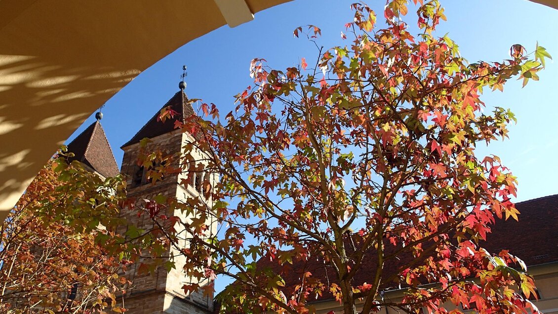 Ein herbstlicher Baum mit bunten Blättern steht im Vordergrund. Im Hintergrund ist ein historisches Gebäude und ein klarer blauer Himmel zu sehen. | © Abtei Seckau