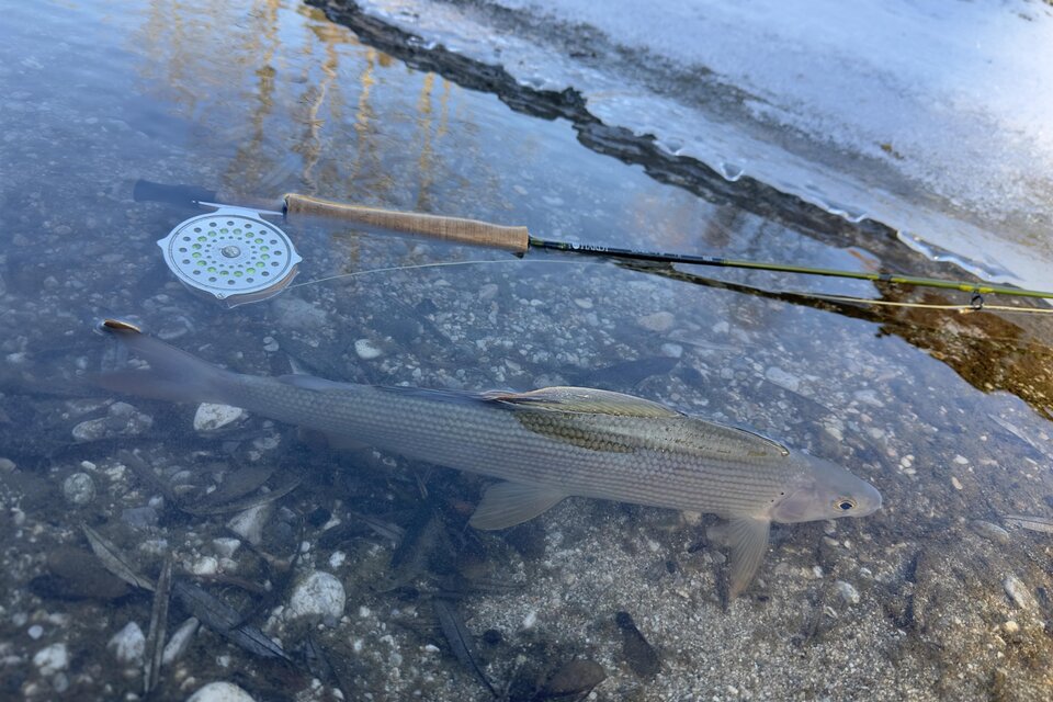 Active Fishing - Impression #1 | © Active Fishing