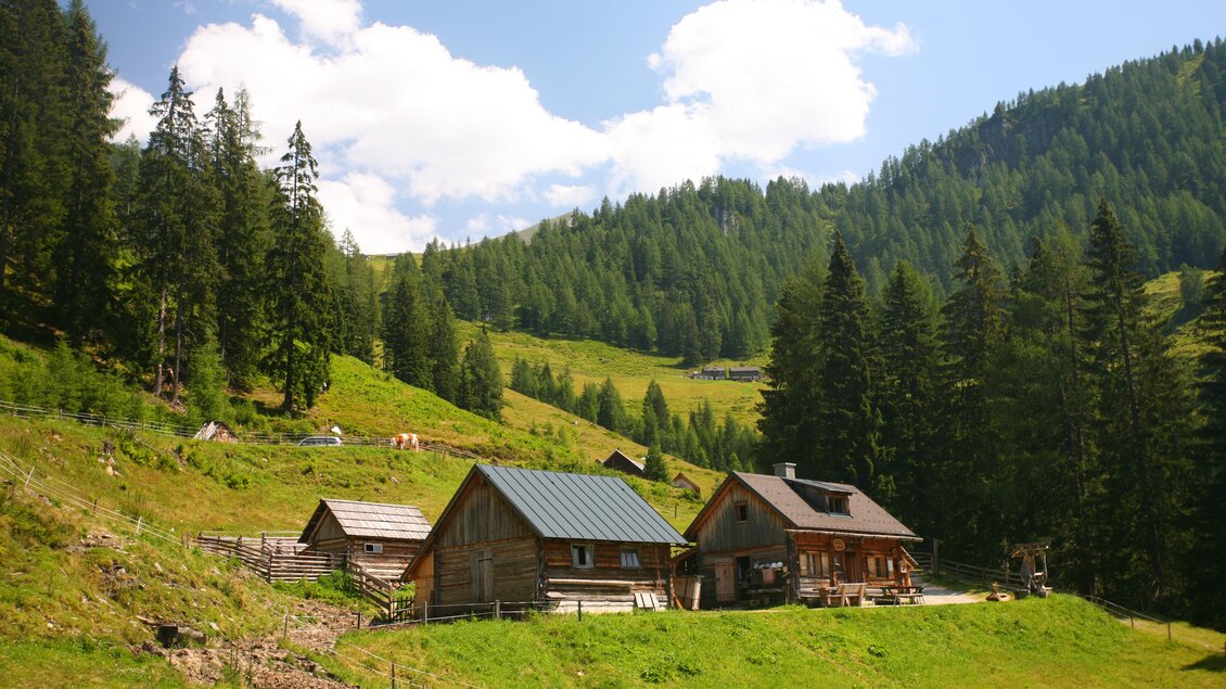 Eine ruhige Alm mit traditionellen Hütten umgeben von hohen Tannen. Im Hintergrund erstrecken sich sanfte, grüne Hügel unter einem blauen Himmel. | © Herbert Raffalt