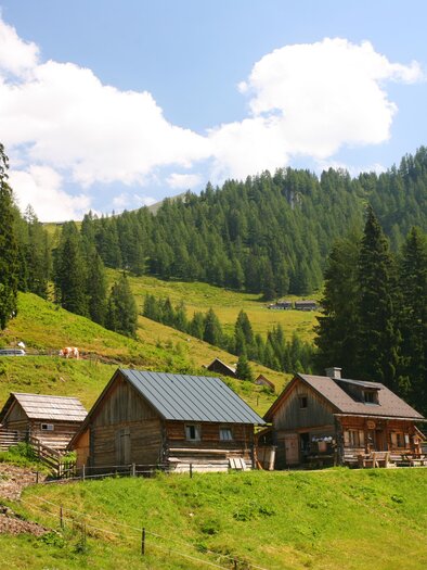 Eine ruhige Alm mit traditionellen Hütten umgeben von hohen Tannen. Im Hintergrund erstrecken sich sanfte, grüne Hügel unter einem blauen Himmel. | © Herbert Raffalt