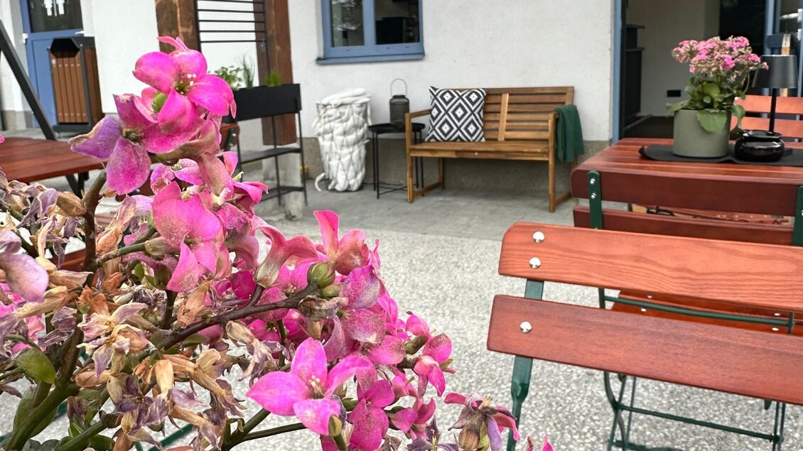 Alm in, Tauplitzalm, Blumen im Aussenbereich | © Gipfelmomente