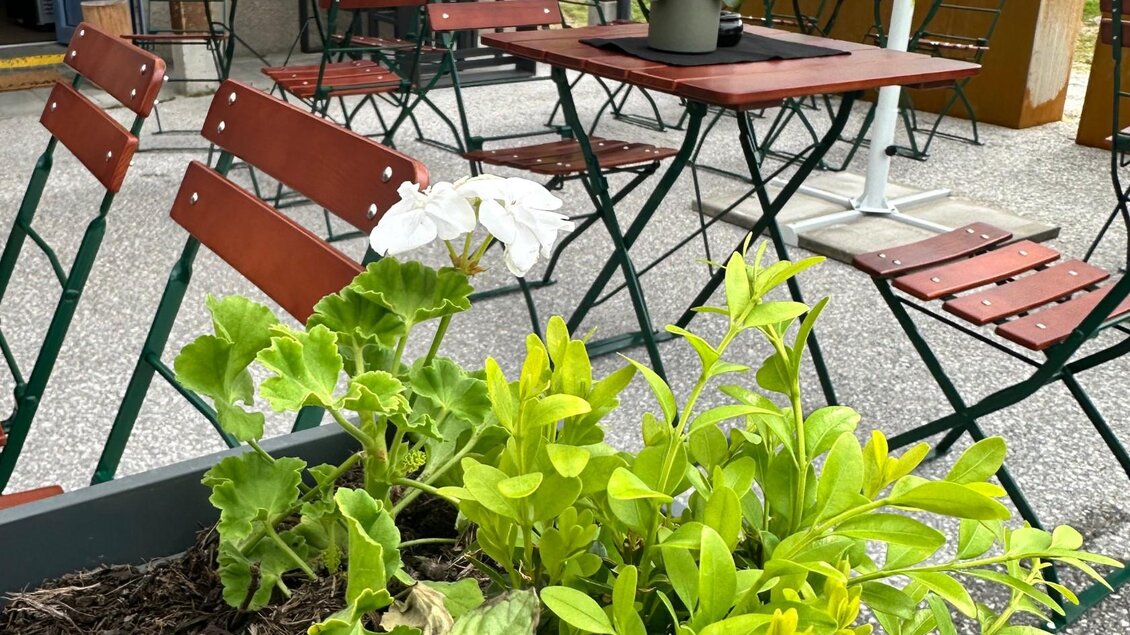 Alm in, Tauplitzalm, Aussenbereich | © Gipfelmomente