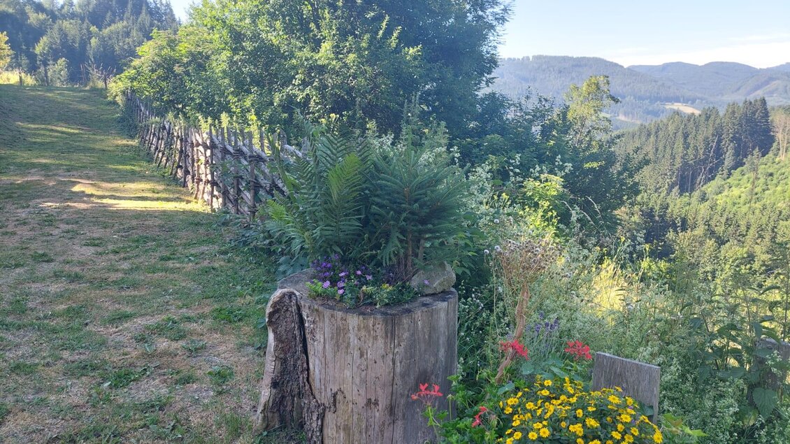 Ein schöner Garten mit Blumen, Sträuchern und einem Baumstumpf. Im Hintergrund sind sanfte Hügel und ein blauer Himmel zu sehen. | © Erwin Troger