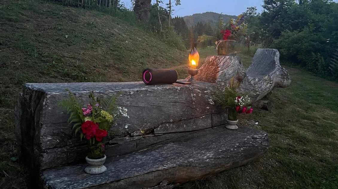 Eine rustic Bank aus Holz steht in einem Garten, umgeben von Pflanzen und Blumen. Eine Laterne und ein Lautsprecher verleihen der Szene eine gemütliche Atmosphäre. | © Erwin Troger