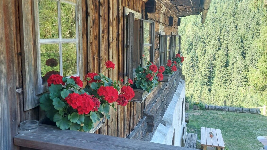 Ein gemütlicher Balkon mit roten Geranienblumen und einem Blick auf die Natur. Der Holzbau und die Umgebung strahlen rustikalen Charme aus. | © Erwin Troger