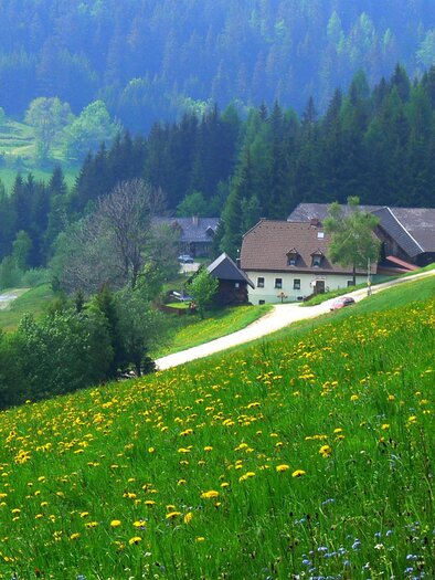 Almbauer | © Almbauer