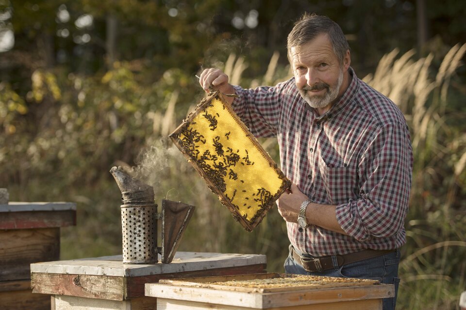 Almenland Beekeeping Kreiner - Impression #1 | © Tourismusverband Oststeiermark