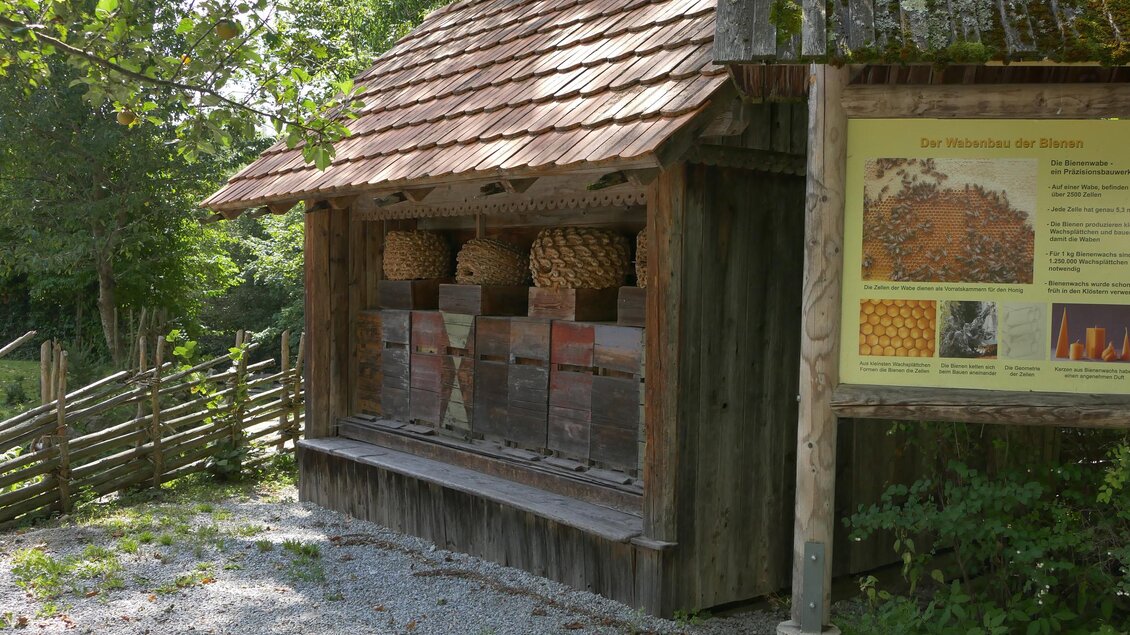 Imkerei Kreiner_Bienenstöcke_Führung | © Imkerei Kreiner