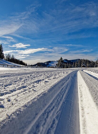 Almenland cross-country skiing trail_Path_Eastern Styria | © Tourismusverband Oststeiermark | Heinz Toperczer | © Tourismusverband Oststeiermark