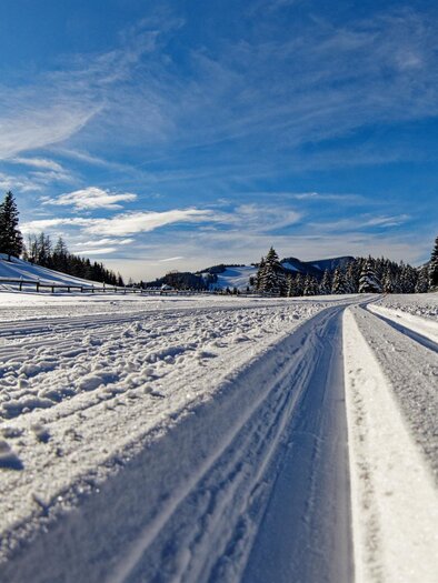 Almenland cross-country skiing trail_Path_Eastern Styria | © Tourismusverband Oststeiermark