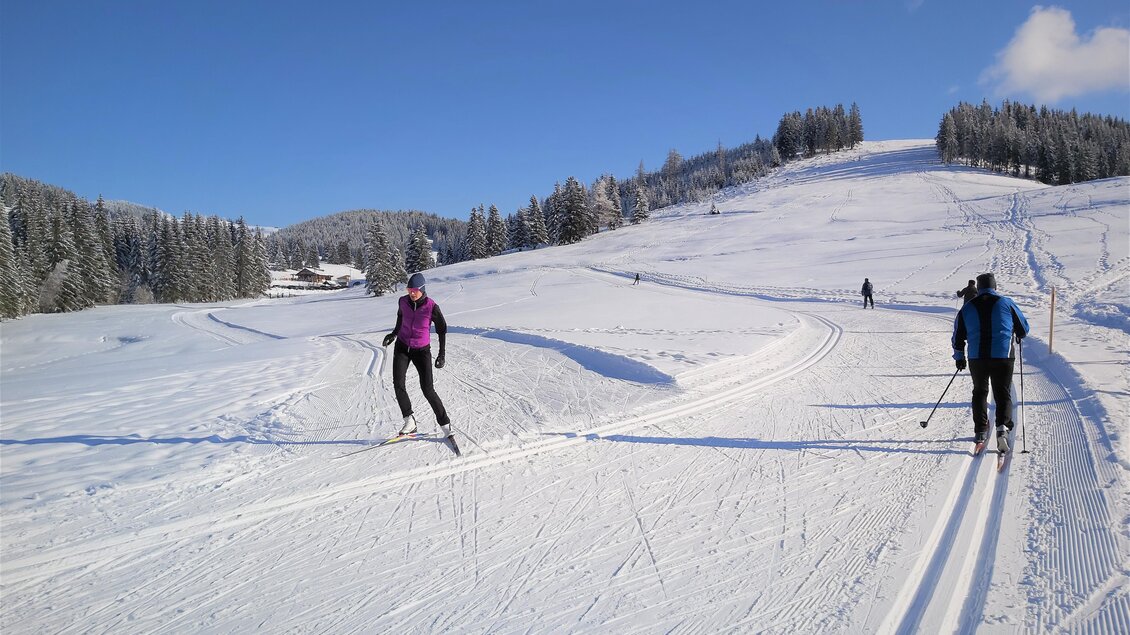 Almenland Loipen_Spuren_Oststeiermark | © Tourismusverband Oststeiermark