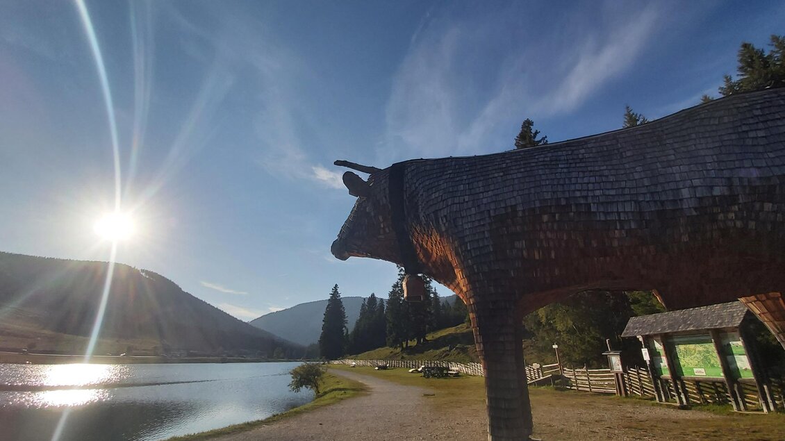 Teichalmsee_Ochse_Oststeiermark | © Tourismusverband Oststeiermark